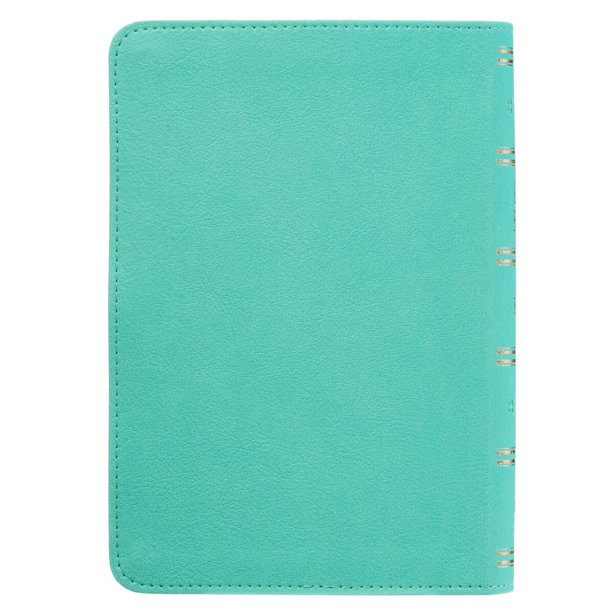 King James Version, Robin’s-egg Blue Faux Leather Large Print Compact Bible