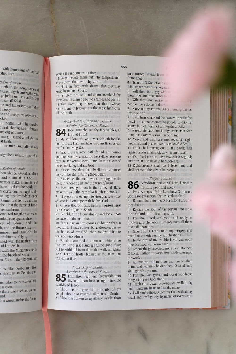 KJV 5-minute Bible Study - Summertime Florals